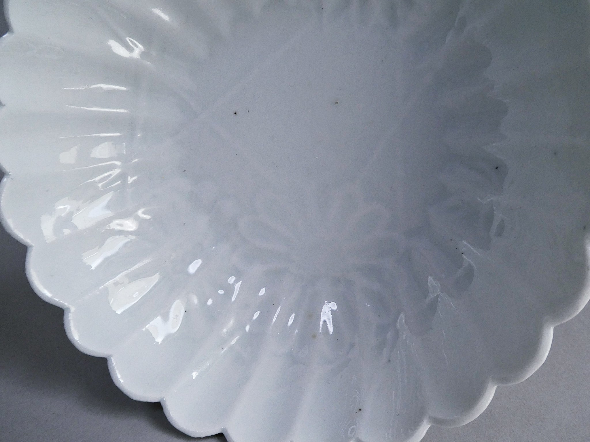 P1320801_2048x.jpg?v=1693567273