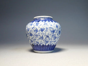 Koimari tea bowl with leaf arabesque dyeing